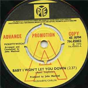 Pickettywitch - Baby I Won't Let You Down download flac