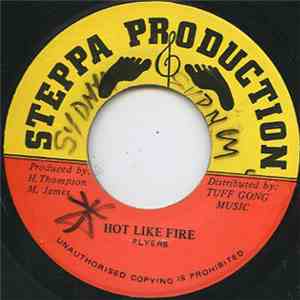 Plyers - Hot Like Fire download flac