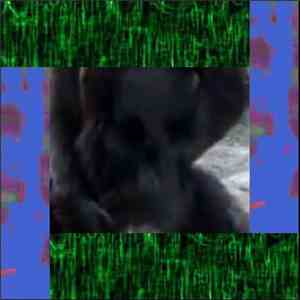 The Golden Gonk - Flickering Greens, Leaking Blues & Exploding Blacks – Live Summer 2008 download flac