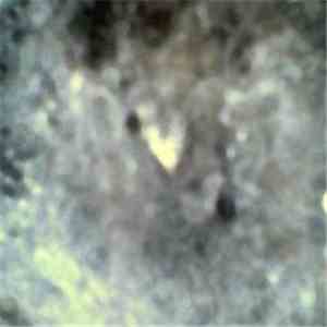 A Million Dead Elephants - 01 download flac