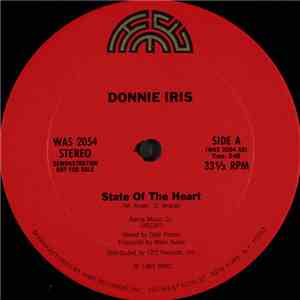Donnie Iris - State Of The Heart download flac