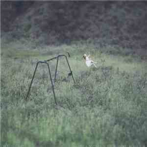 Manchester Orchestra - The Gold download flac