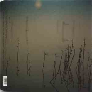 Tenhi - Hallavedet download flac