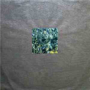 Blatherskite  - Sick Focus download flac