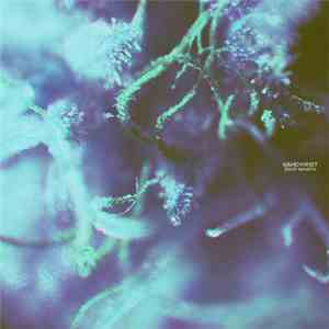 Handwrist - Flesh Tendrils download flac