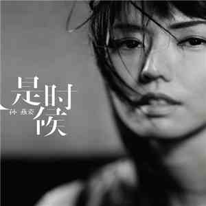 孫燕姿 - 是時候 (It's Time) download flac