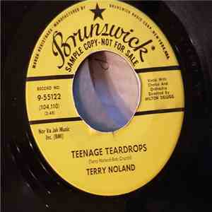 Terry Noland - Teenage Teardrops download flac