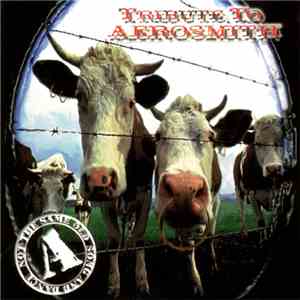 Various - Tribute To Aerosmith: Not The Same Old Song And Dance download flac
