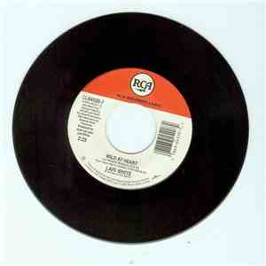 Lari White - Wild At Heart download flac