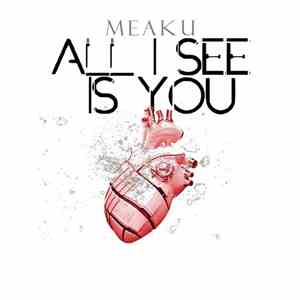 Meaku - All I See Is You download flac