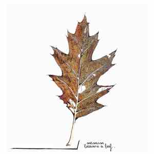 Memum - Became a Leaf download flac