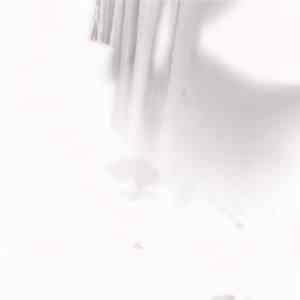 t.m.c - Monster download flac