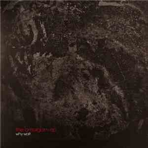 Why Wait - The Amalgam EP download flac