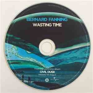 Bernard Fanning - Wasting Time download flac
