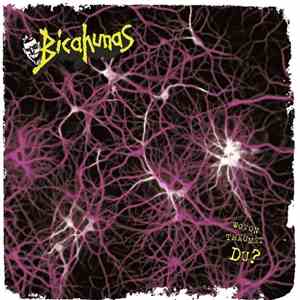 BicahunaS - Wovon Träumst Du? download flac