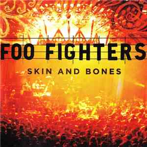 Foo Fighters - Skin And Bones download flac