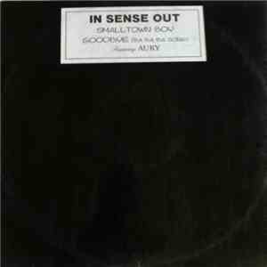 In Sense Out - Smalltown Boy / Goodbye (Ba Ba Ba Song) download flac