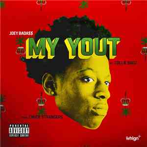 Joey Bada$$ Ft. Collie Buddz - My Yout download flac