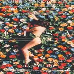 Lisa Stansfield - Time To Make You Mine download flac