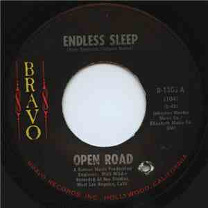 Open Road  - Endless Sleep/Gardener Junction download flac