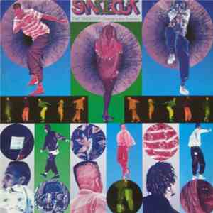 The Sindecut - Changing The Scenery download flac