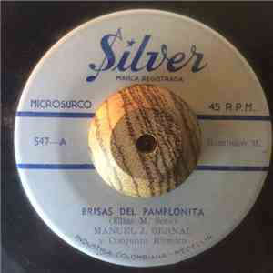 Manuel J. Bernal - Brisas del Pamplonita / Galeron Llanero download flac