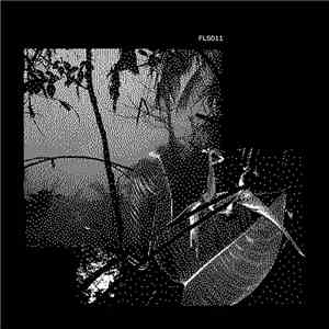 She's Drunk - Anton download flac
