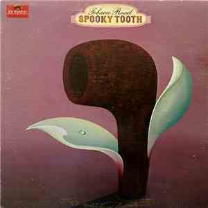 Spooky Tooth - Tobacco Road download flac