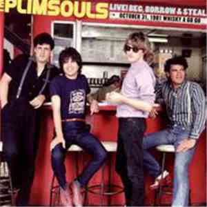 The Plimsouls - Live! Beg, Borrow & Steal download flac