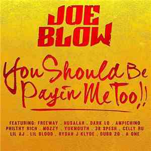 Joe Blow  - You Should Be Payin Me Too!! download flac