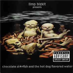 Limp Bizkit - Chocolate Starfish And The Hot Dog Flavored Water FLAC album