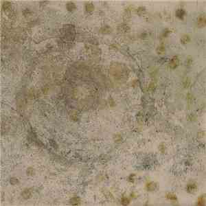 Michael Thomas Jackson - Amygdala Mandala download flac