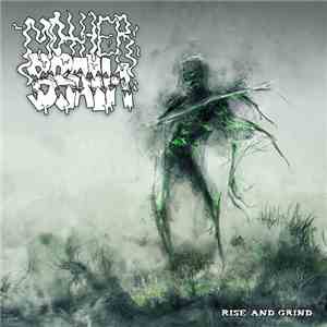 Mother Brain - Rise And Grind download flac