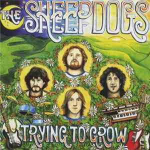 The Sheepdogs - Trying To Grow download flac