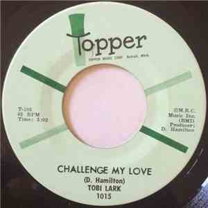 Tobi Lark - Sweep It Out In The Shed download flac