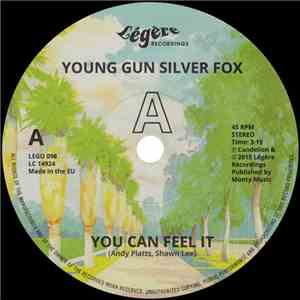 Young Gun Silver Fox - You Can Feel It download flac