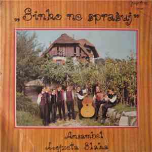 Ansambel Lojzeta Slaka - Sinko Ne Sprašuj download flac