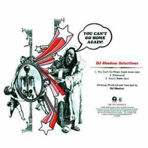 DJ Shadow - You Can't Go Home Again download flac