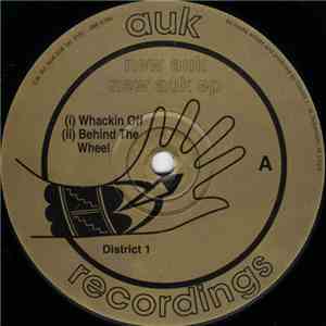District 1 / 4th Level - New Auk EP download flac