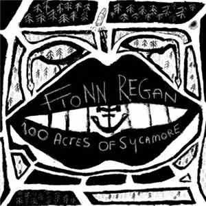 Fionn Regan - 100 Acres Of Sycamore download flac