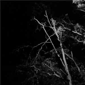 Jared Sagar - Xureii download flac