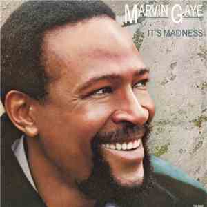 Marvin Gaye - It's Madness download flac