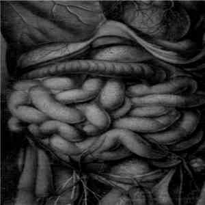 Satanhartalt - Sigeléas download flac