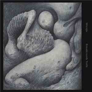 Wereju - Breadcrumb Trails download flac