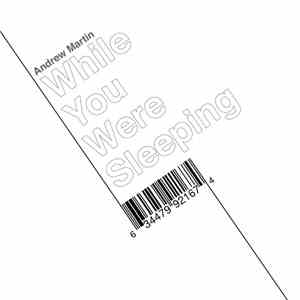 Andrew Martin  - While You Were Sleeping download flac