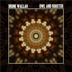 Drone Wallah - Owl And Rooster download flac