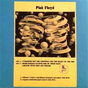 Pink Floyd - Pink Floyd download flac