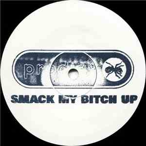 Prodigy - Smack My Bitch Up download flac