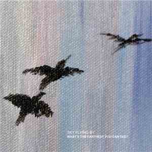 Sky Flying By - What's The Farthest You Can See? download flac