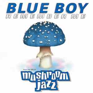 Blue Boy - Remember Me download flac